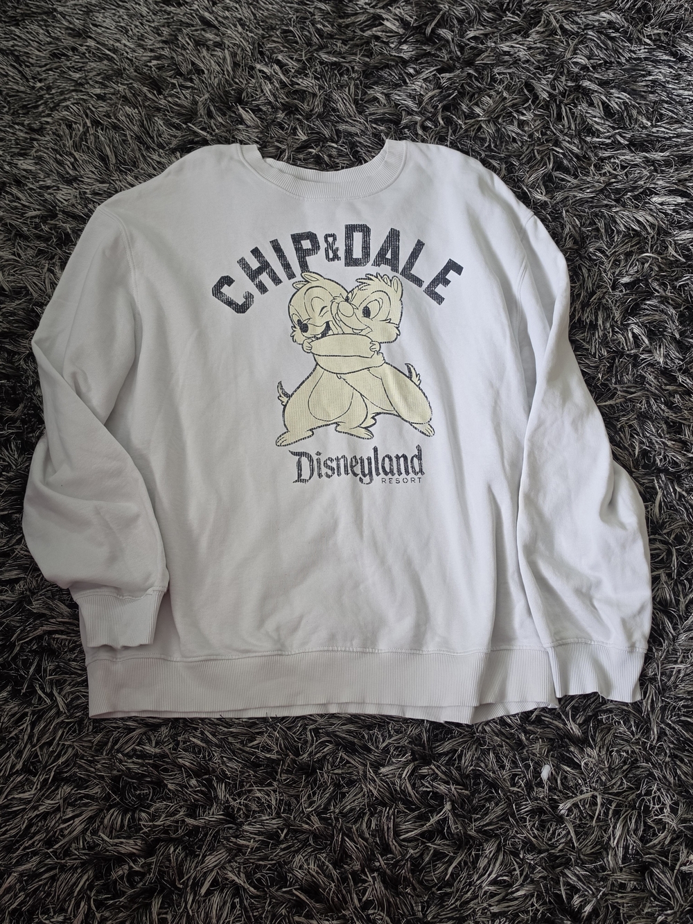 Disney Chip & Dale Cream and Black Kids Sweatshirt